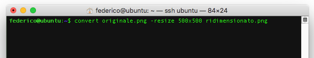 Come ridimensionare un'immagine da terminale (Linux)
